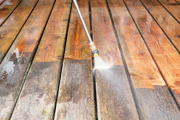 Best Animal Enclosure Cleaning  in Boise City, OK